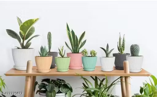 FANCY 5 PIS COMBO OF THE Plastic Round Flower Pots for Home Planters, Terrace, Garden Etc | Pack of 05 | Multicolor | Suitable for Home Indoor & Outdoor Gardening Plants