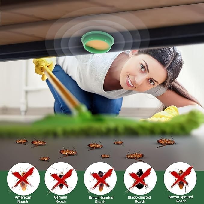 Cockroach Killer Gel Home Strong for Kitchen