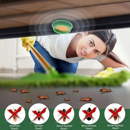 Cockroach Killer Gel Home Strong for Kitchen