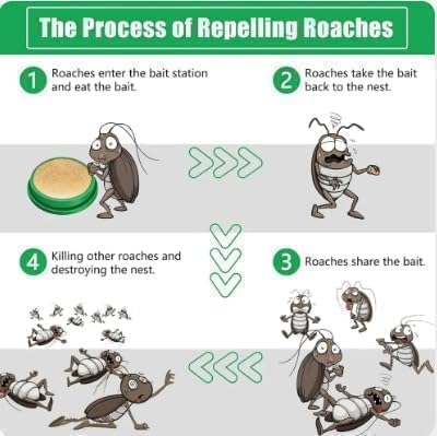 Cockroach Killer Gel Home Strong for Kitchen